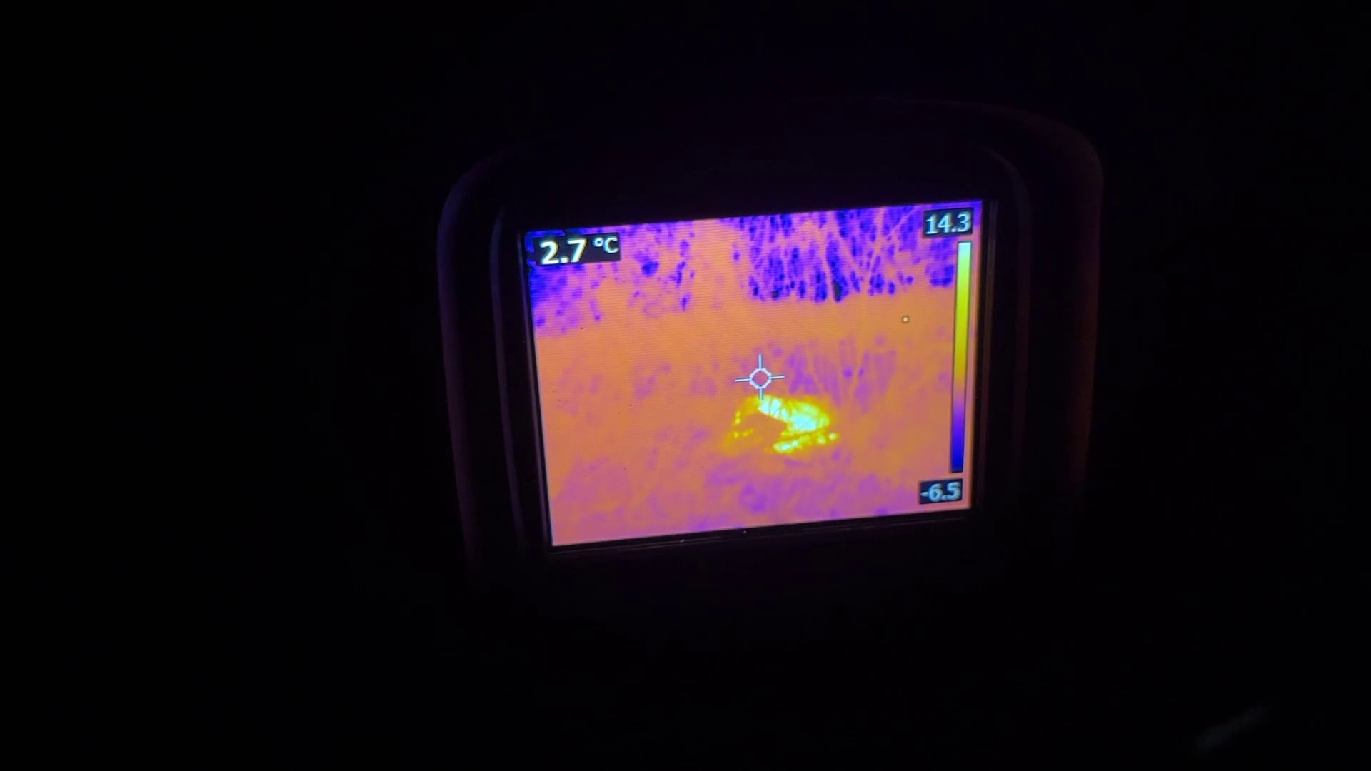 flir stray dog rescue thermal.png